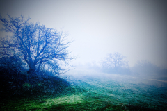 AdobePhotoshopExpress_2020-11-24_20-42-280100