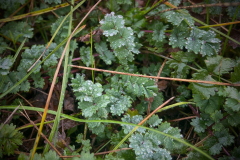 AdobePhotoshopExpress_2020-11-24_21-01-420100