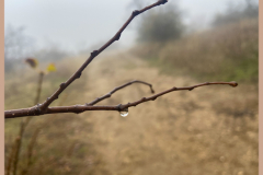 AdobePhotoshopExpress_2020-11-24_21-03-120100